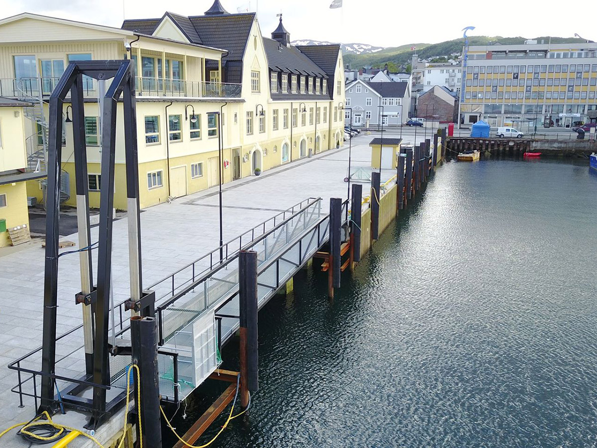 D type Rubber Fender